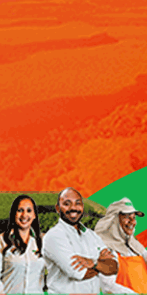 Veracel Julho 26