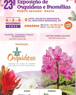 23orquidesc1