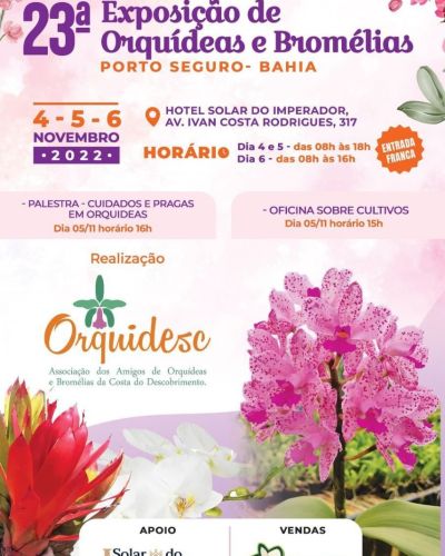 23orquidesc1