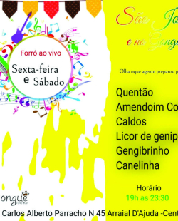 gongue03e0406