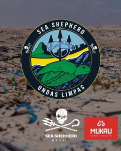 seaShepherd