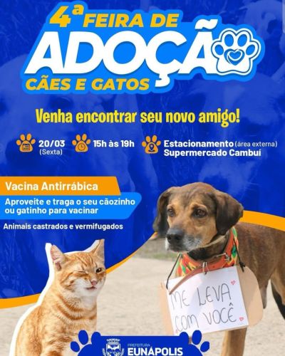 4feiraAdocao