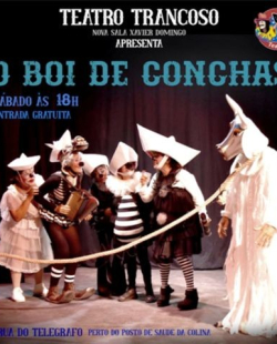 Boi de Conchas - 26-03-26