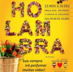 holambra11231