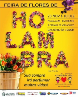 holambra11231