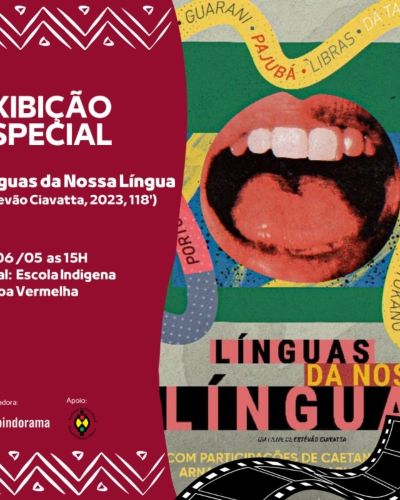 linguasdanossalingua1