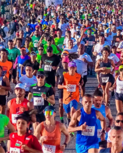meiamaratona