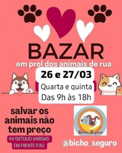 Bazar Bicho Seguro - 25-03-25