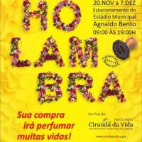 19 Feira Holambra de Porto Seguro - 20-11-25